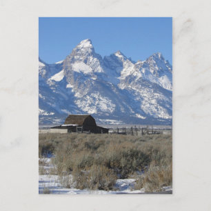 Teton Ranch Postcard