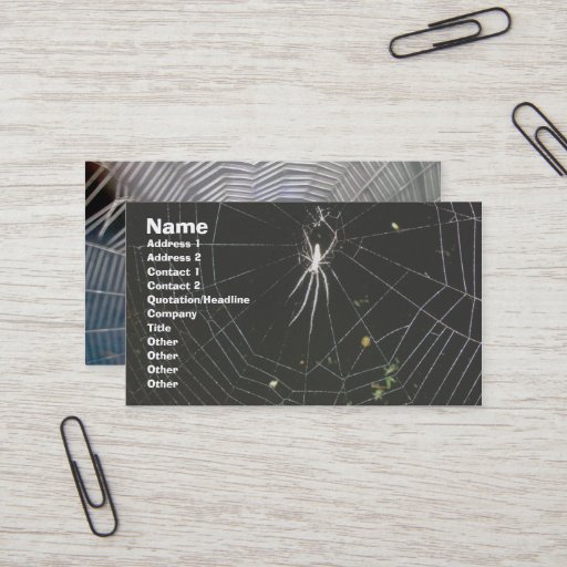 Customizable Tetragnathid Orb Weaver Spider Business Card