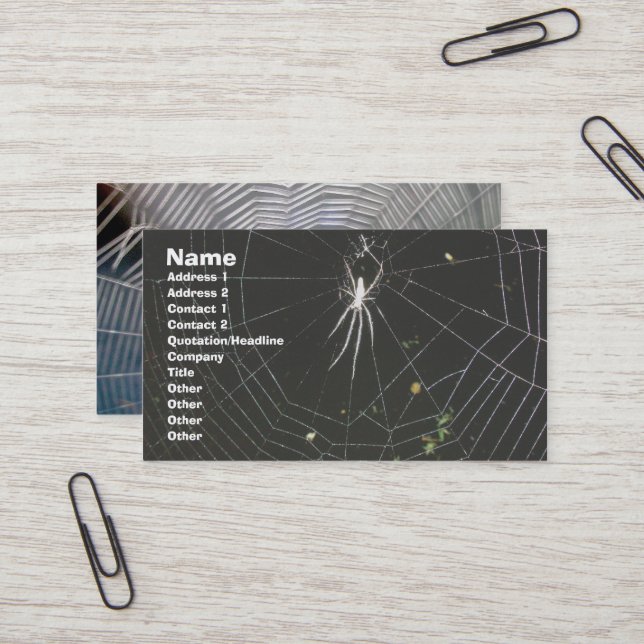 Tetragnathid Orb Weaver Spider Business Card (Front/Back In Situ)