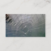 Tetragnathid Orb Weaver Spider Business Card (Back)