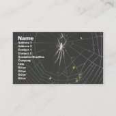 Tetragnathid Orb Weaver Spider Business Card (Front)