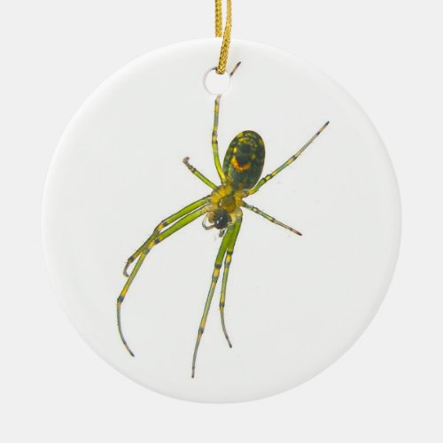 Tetragnathid Spider Christmas Ornament