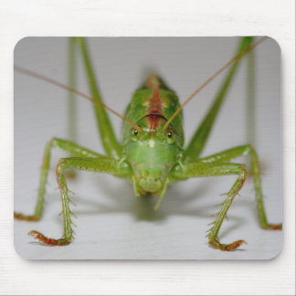 Tettigonia viridissima mouse pad