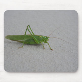 Tettigonia viridissima mouse pad
