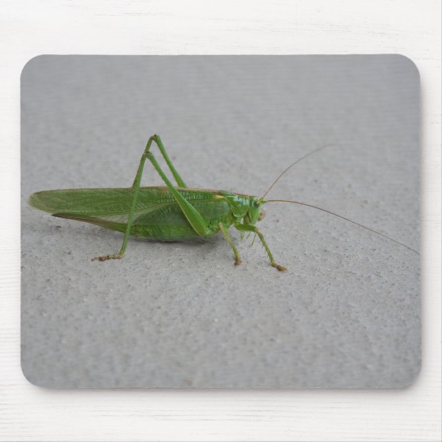 Tettigonia viridissima mouse pad (Front)