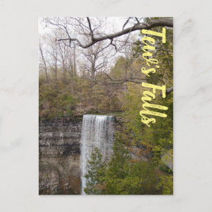 Tews Falls Hamilton Ontario Canada Postcard