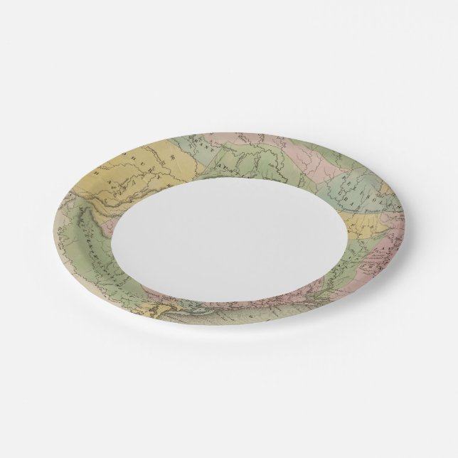 Texas 14 paper plates (Angled)