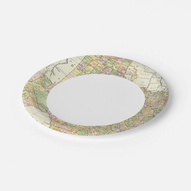 Texas 15 paper plates (Angled)
