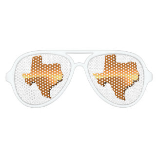 TEXAS 2 AVIATOR SUNGLASSES