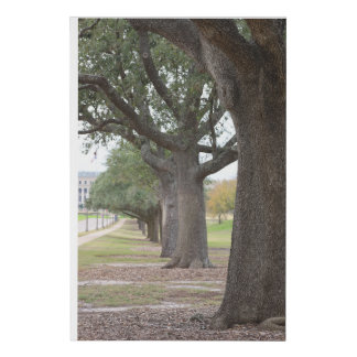 Texas A&M Trees Faux Canvas Print