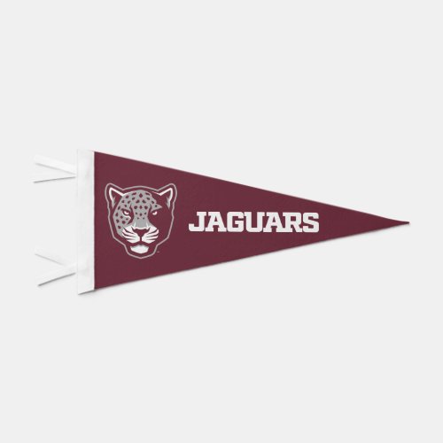 Texas AM University_San Antonio  Jaguars Pennant Flag