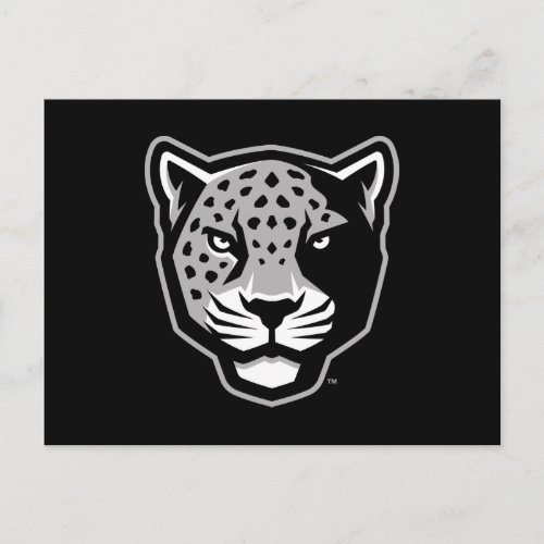 Texas AM University_San Antonio  Jaguars Postcard