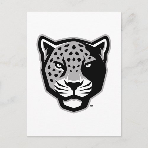 Texas AM University_San Antonio  Jaguars Postcard