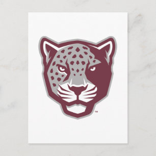 Texas A&M University-San Antonio Jaguars Postcard