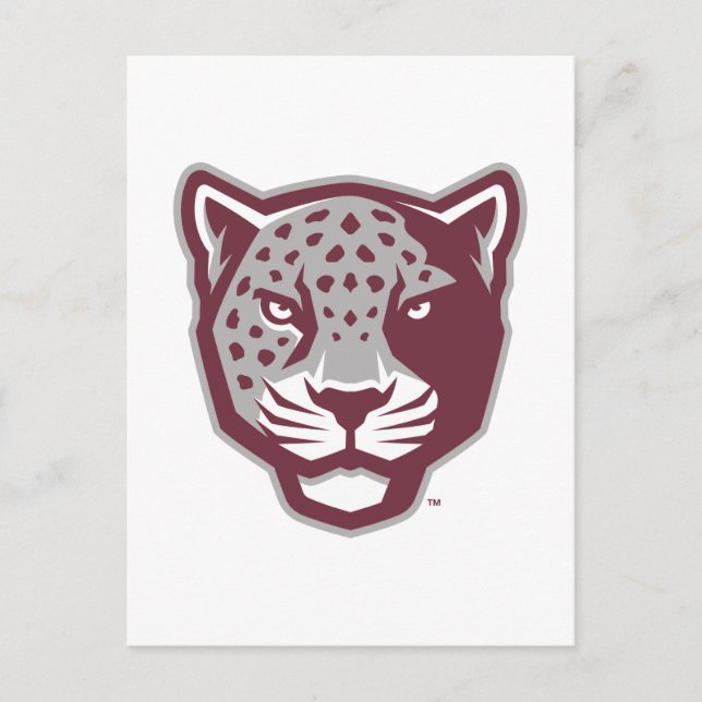 Texas A&M University-San Antonio | Jaguars Postcard (Front)