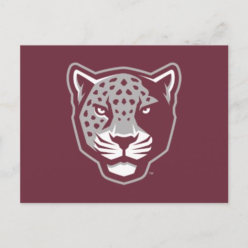 Texas AM University_San Antonio  Jaguars Postcard