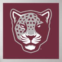 Texas A&M University-San Antonio | Jaguars
