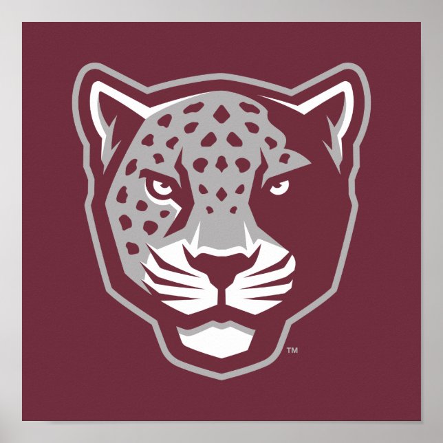 Texas A&M University-San Antonio | Jaguars Poster (Front)