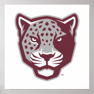 Texas A&M University-San Antonio Jaguars Poster