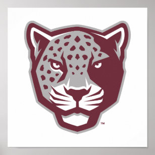 Texas A&M University-San Antonio   Jaguars Poster