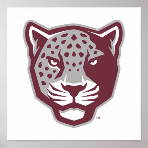 Texas AM University_San Antonio  Jaguars Poster