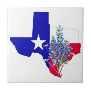 Texas and Bluebonnets Ceramic Tile