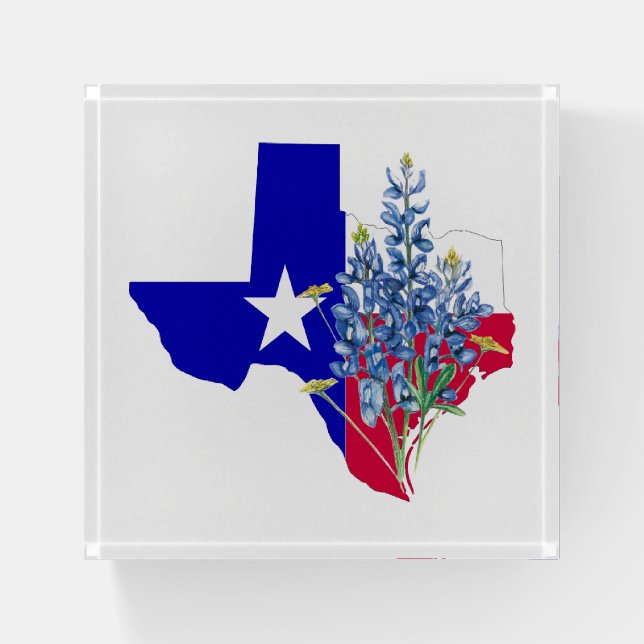Texas and Bluebonnets Paperweight (Front)