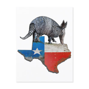 Texas Armadillo Postcard