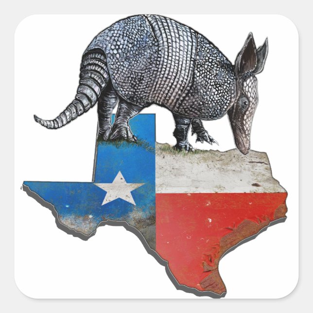 Texas Armadillo Square Sticker (Front)