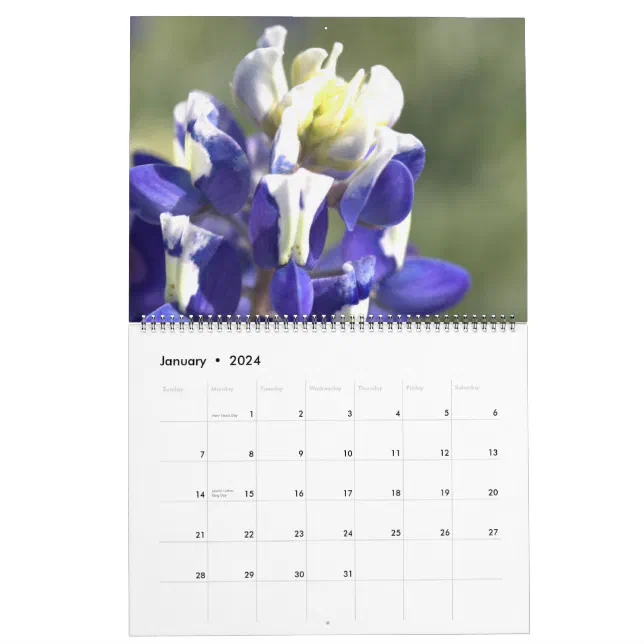 Texas Beauties Create Your Own Calendar Zazzle