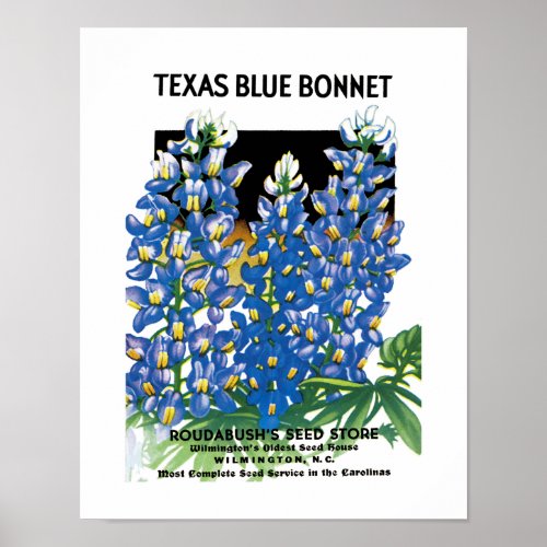 Texas Blue Bonnet Seed Packet Label Poster