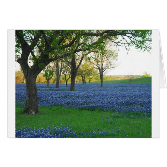 Texas Blue Bonnets Card