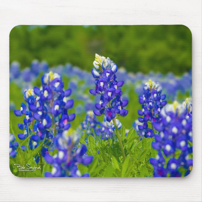 Texas Blue Bonnets mousepad (Front)
