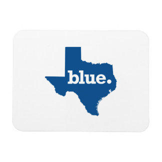 TEXAS BLUE STATE MAGNET