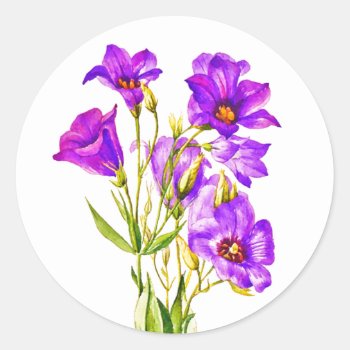 Texas Bluebells Eustoma Russellianum Watercolor Classic Round Sticker by TerryBainPhoto at Zazzle