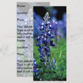 Texas Bluebonnet (Front/Back)