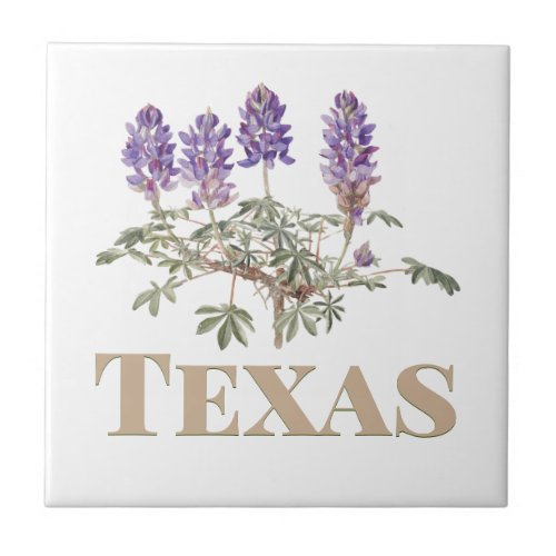 Texas Bluebonnet 2  Ceramic Tile