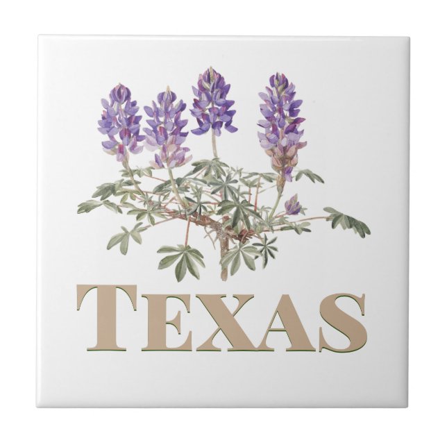 Texas Bluebonnet 2  Ceramic Tile (Front)