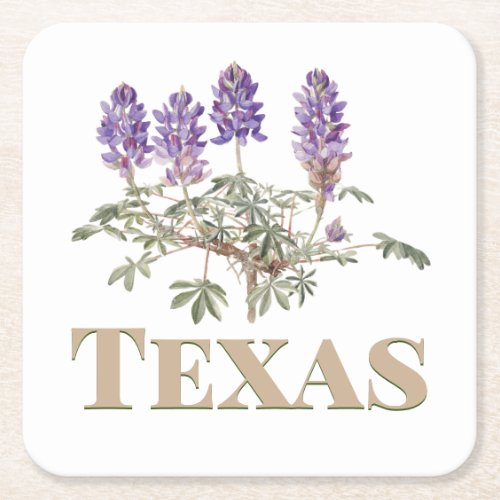 Texas Bluebonnet 2  Square Paper Coaster