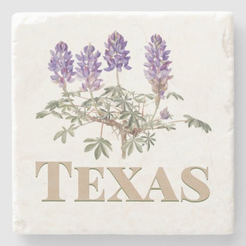 Texas Bluebonnet 2  Stone Coaster