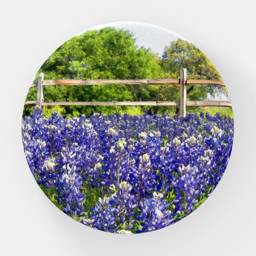 Texas Bluebonnet Art Glass Paperweight