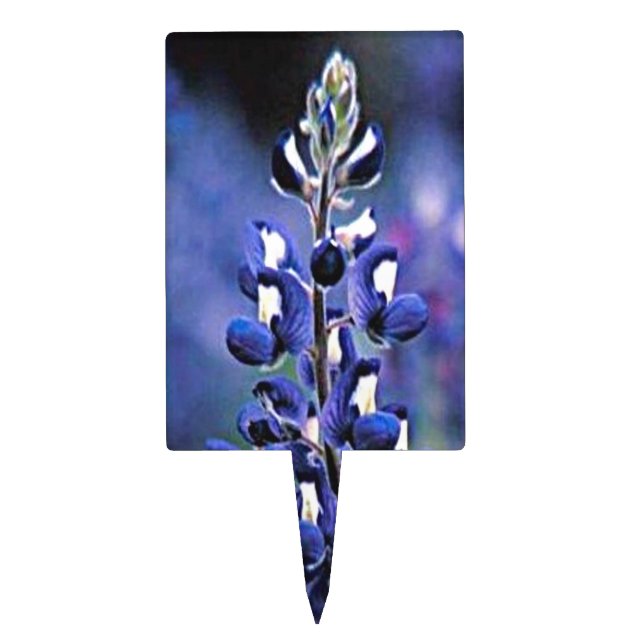 Texas Bluebonnet Cake Topper (Front)