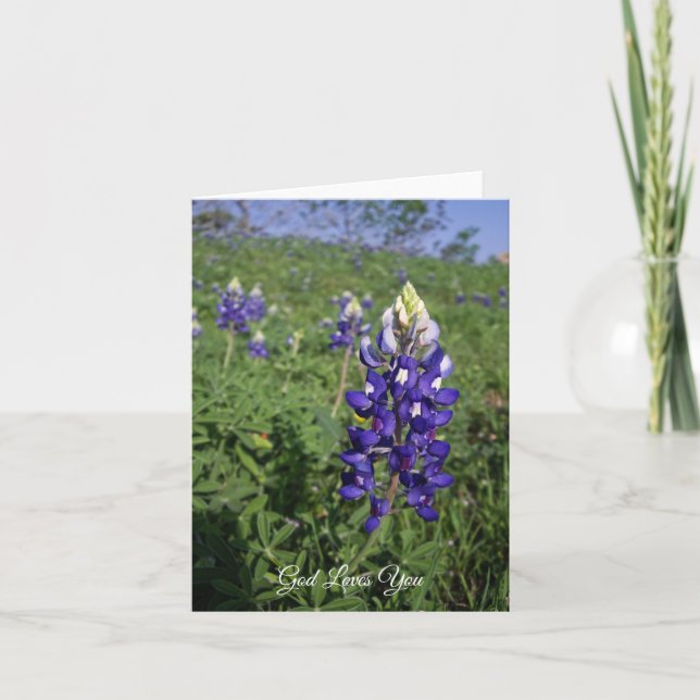 Texas Bluebonnet Christian John 3:16 Blank Inside Card (Front)