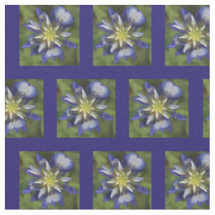 Texas Bluebonnet Fabric