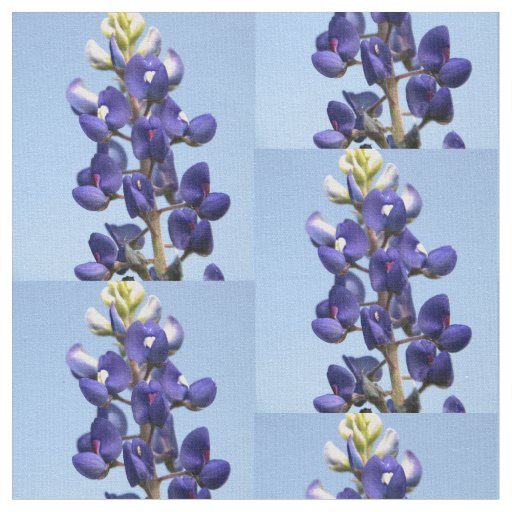 Texas Bluebonnet Fabric