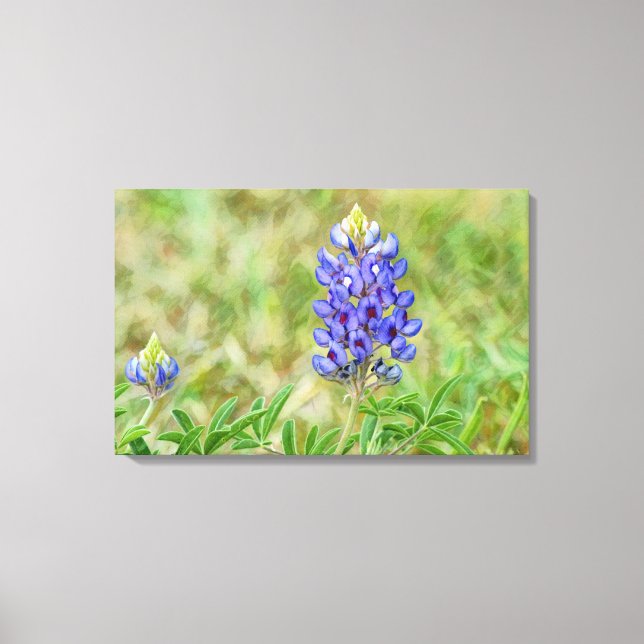 Texas Bluebonnet Flower Art Close Up Canvas Print (Front)