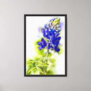 Texas Bluebonnet Flower on White with Graphics Canvas Print
