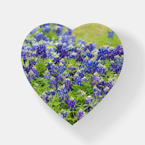 Texas Bluebonnet Flowers Glass Heart Paperweight