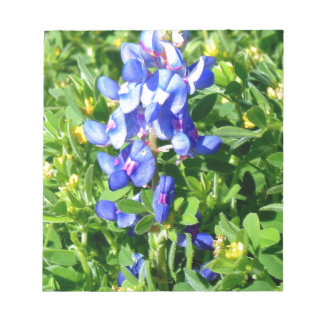 TEXAS BlueBonnet Notepad