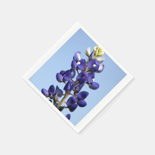 Texas Paper Napkins Zazzle